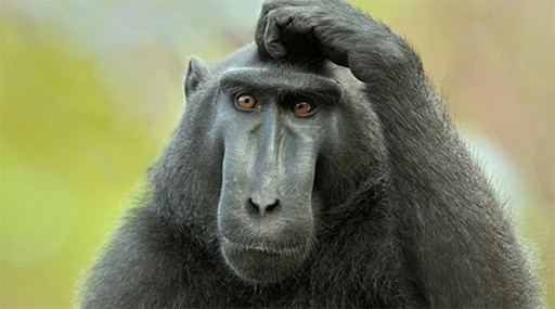 Что такое АОП? Основы аспектно-ориентированного программирования - 4