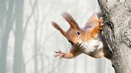 Що потрібно знати про Spring: історія появи, ключові модулі, порівняння з Java EE - 11