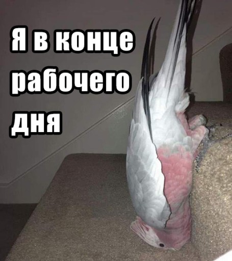 Разбор вопросов и ответов с собеседований на Java-разработчика. Часть 12 - 7